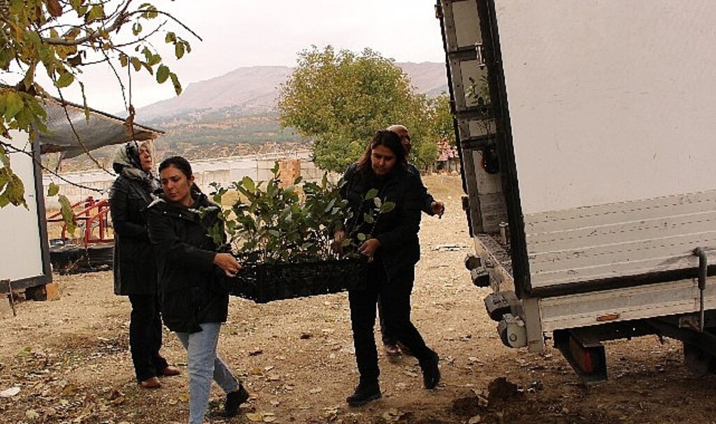 Elmalı'da 1300 aronya fidanı dağıtıldı