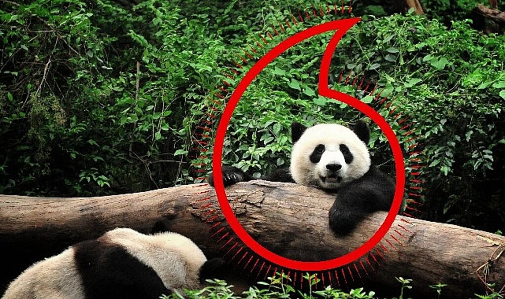 Vodafone ve WWF'ten
