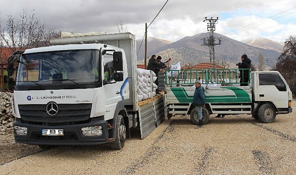 Antalya Büyükşehir Belediyesi'nin süt yemi desteği sürüyor