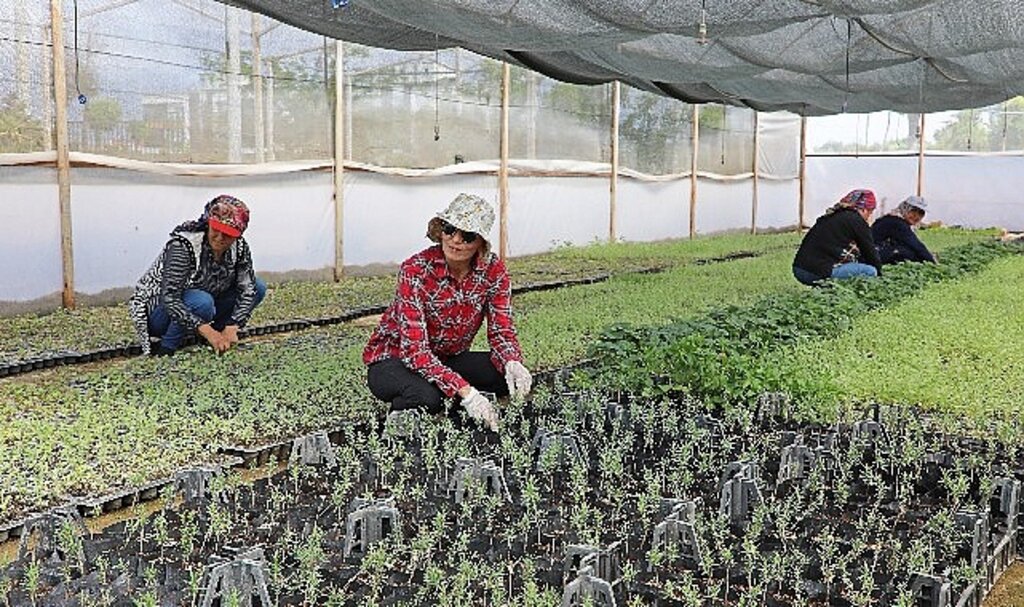 Büyükşehir Belediyesi'nden tarıma büyük destek