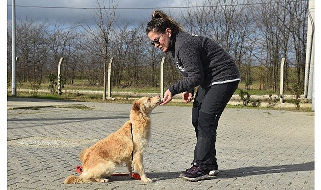 Lüleburgaz Belediyesi'nden bir ilk daha