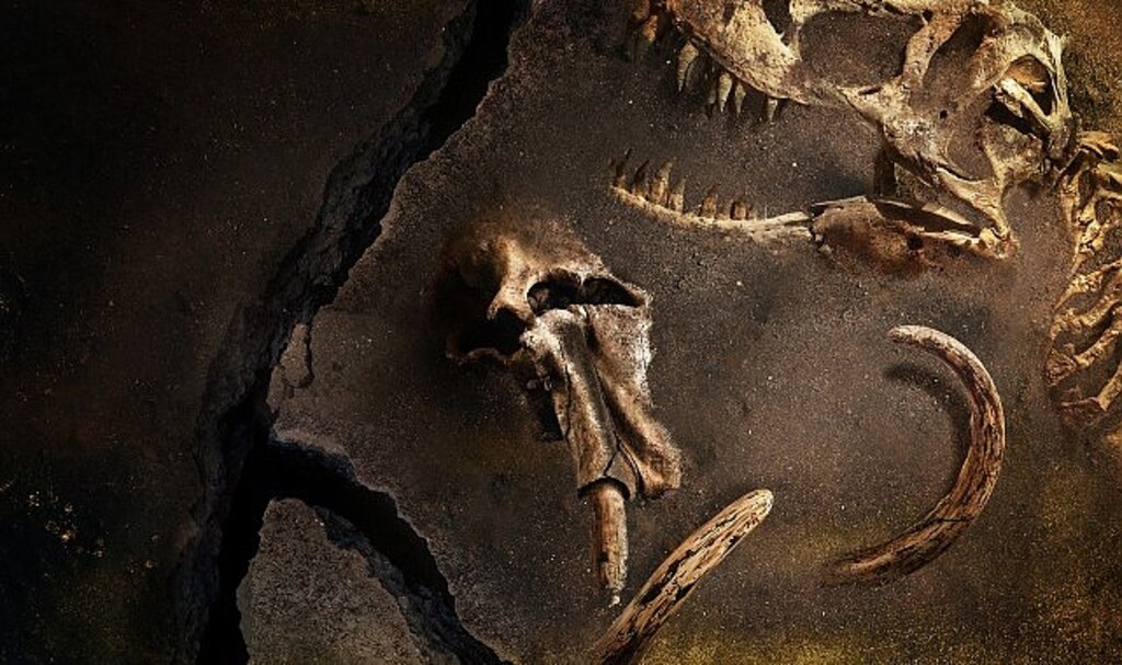 Gezegenimizde Yaşamış En Büyük Hayvanların Gizemini Konu Alan 'Kayıp Hayvanların Gizemli Geçmişi' 28 Mart Perşembe 22.00'de National Geographic Ekranlarında Başlıyor!