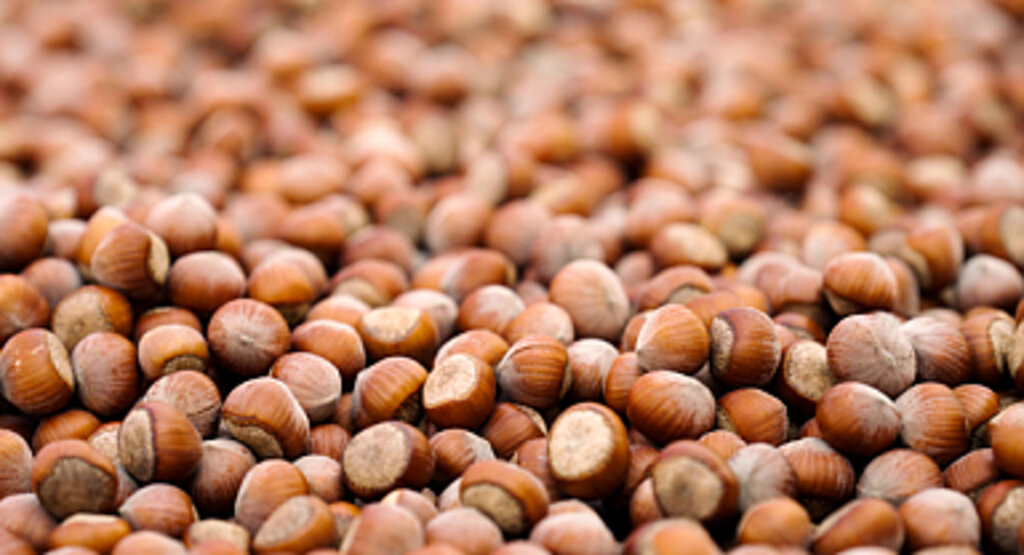 FERRERO, SÜRDÜRÜLEBİLİR FINDIK İÇİN KAYDETTİĞİ GÜÇLÜ İLERLEMEYİ VE YENİ DÖNEM HEDEFLERİNİ AÇIKLADI