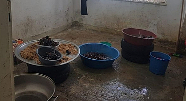 İlkadım Zabıtasından 'Midye' Operasyonu