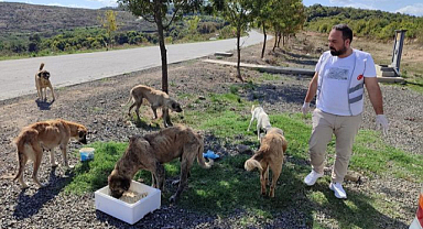 DEĞİRMENCİ,Can dostları unutmak yok