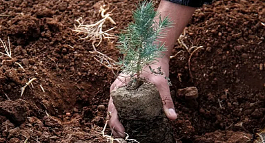 2030’a Kadar 10 Milyar Fidan Hedefi