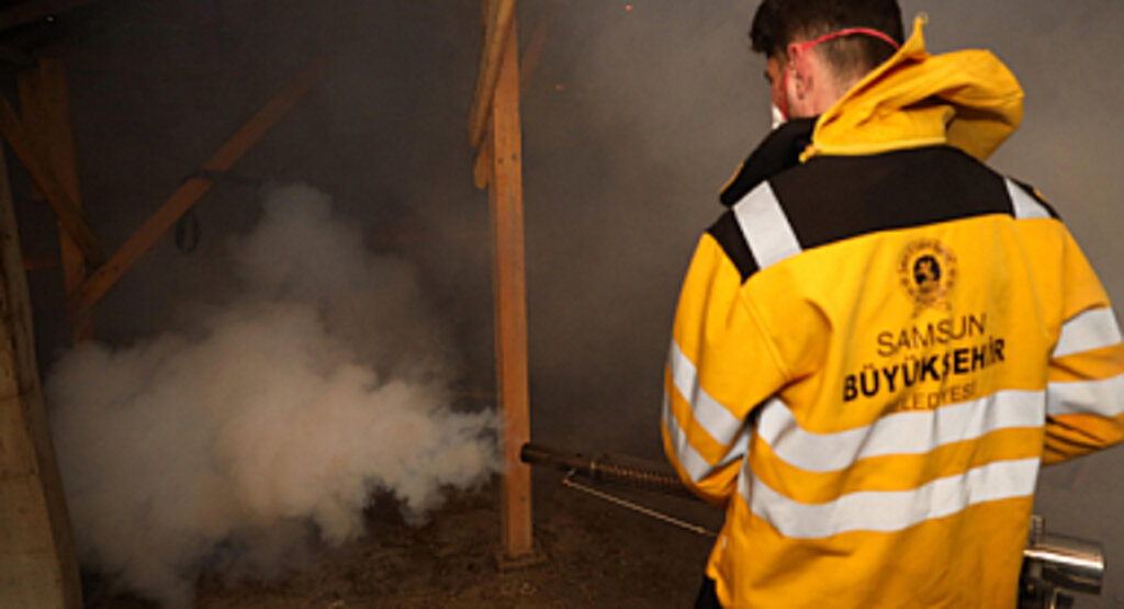 KAHVERENGİ KOKARCA’YA KARŞI KIŞLAK MÜCADELESİ