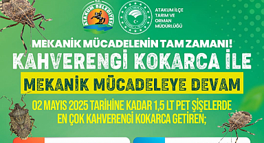 Atakum'da kahverengi kokarcayla mücadele son hız