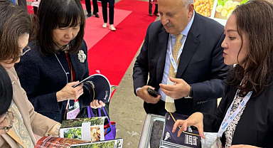 ÜNYE’DEN JAPONYA ÇIKARMASI