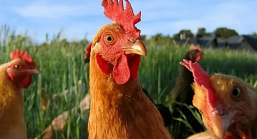 Genel öneriler: Az başla, gözlem yap, kayıt tut