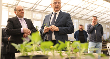 İlkadım'da Aromatik Bitkiler Yaygınlaşıyor