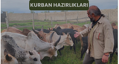 Kurban sorumluluğu ve bilinci içerisinde 2025 kurban hazırlıklarımız devam ediyor.