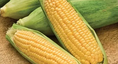 Lif, vitamin ve mineralle dolu