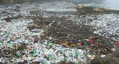 Plastiklerdeki 'Gizli Tehlike'