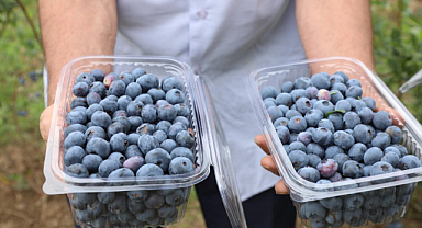 EKONOMİK GETİRİSİ İLE ÜRETİCİLERİ MUTLU ETTİ