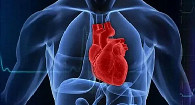 Kalpten Beyne: Vagus Siniri ve İletişimde Üstünlük