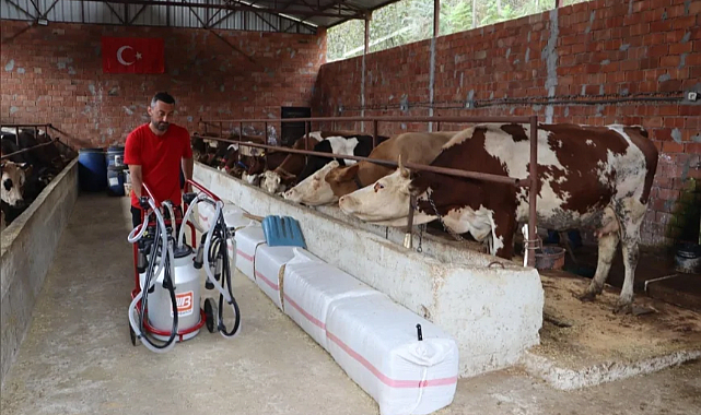 Ordu’da süt üreticilerine soğutma tankı ve toplama merkezi desteğiyle çiğ süt değerinde satılabiliyor