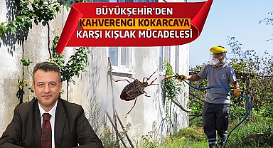 Büyükşehir Belediyesi Kahverengi Kokarcaya Karşı Kışlak Mücadelesi