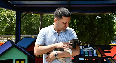 Hayvan Dostu Kent Hedefiyle Yeni Projeler