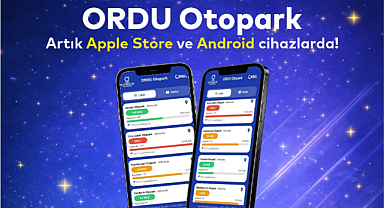 ORDU'DA OTOPARK BULMAK ÇOK KOLAY!