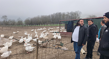 Kavak'ta kaz yetiştiricilerine uygulamalı eğitim