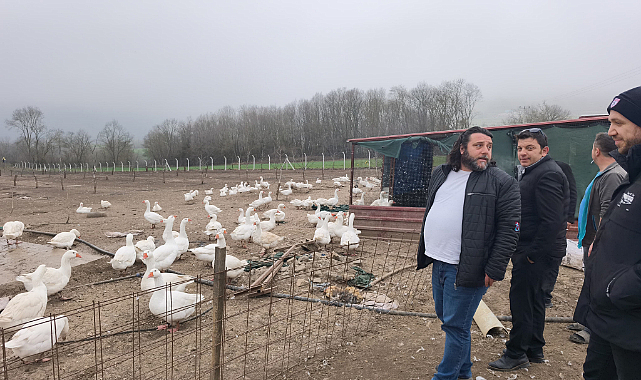 Kavak'ta kaz yetiştiricilerine uygulamalı eğitim