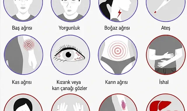 Ebola Nasıl Bulaşıyor?