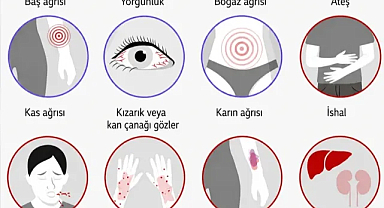Ebola Nasıl Bulaşıyor?