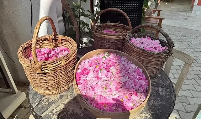 Türkiye’nin 