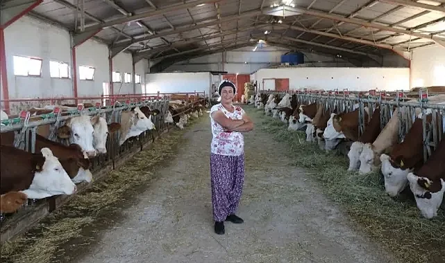 Yüzde 60 ile Yüzde 75 Arasında Hibe Desteği