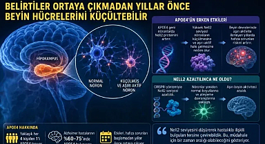 APOE4 ALZHEIMER RİSKİNDE ÖNE ÇIKIYOR