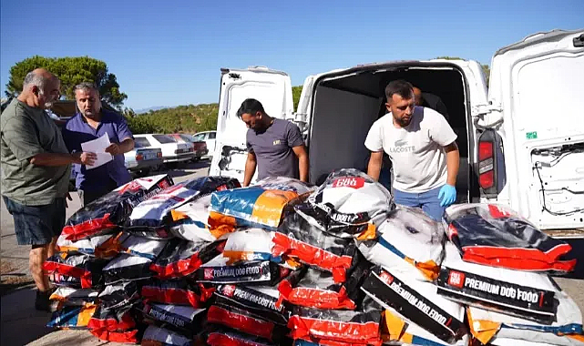 “Kısa sürede bir ton mama alabilecek miktarda bağış toplandı”