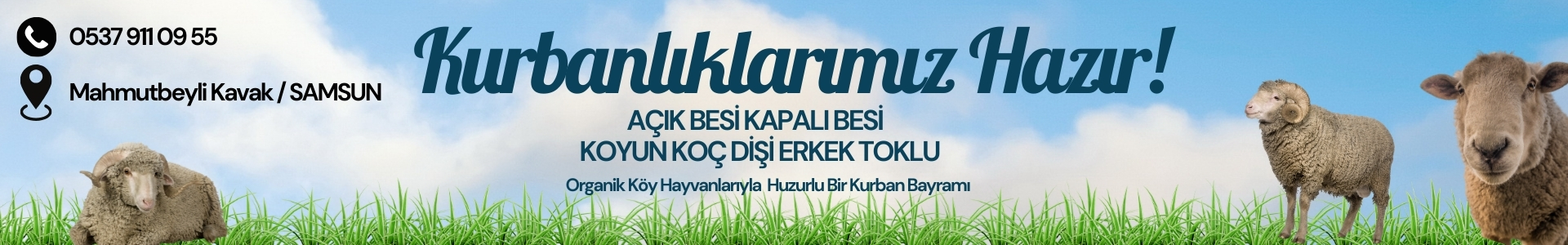 Reklam